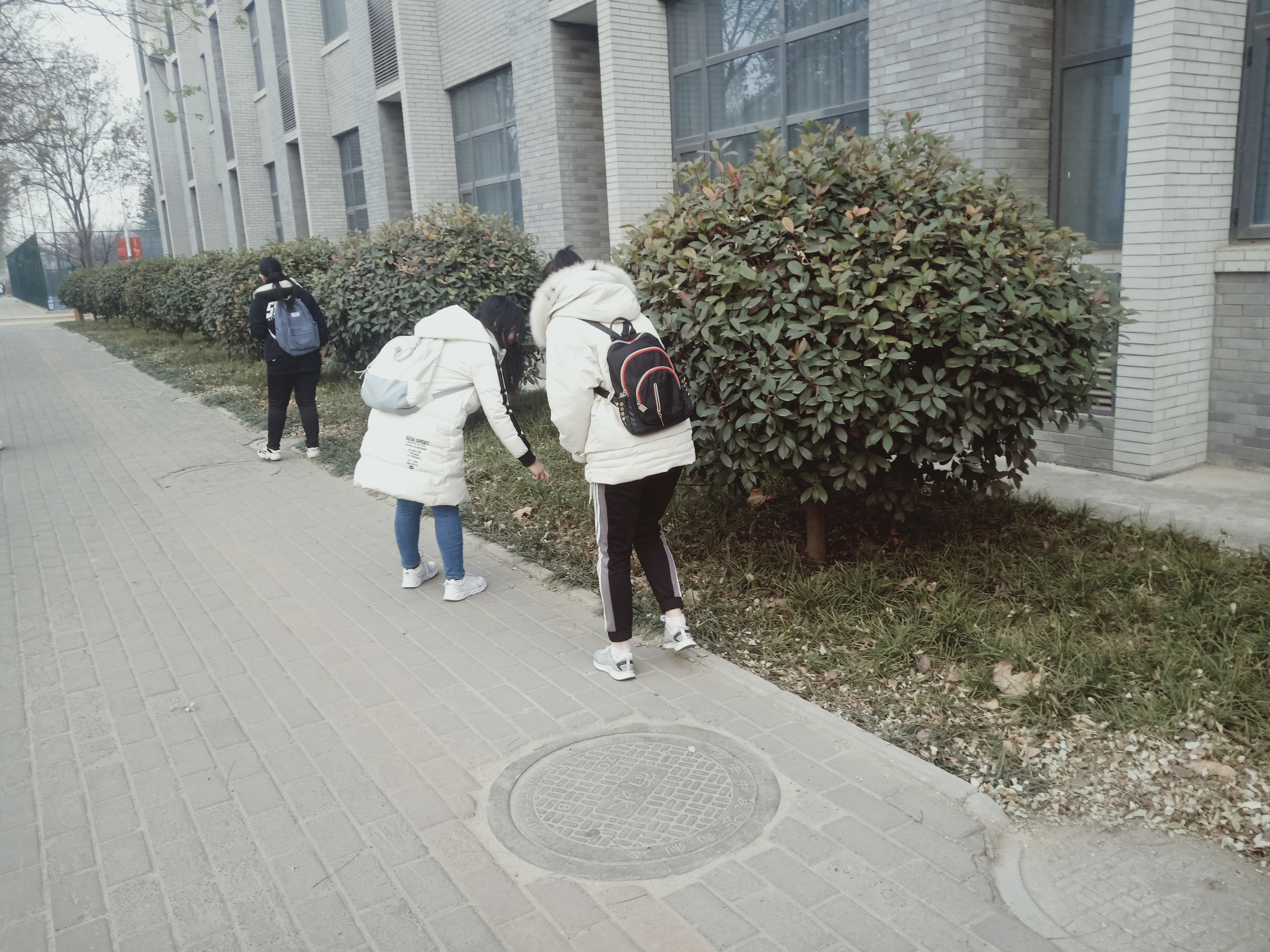 8bbaa45a7e224aa0978bf19240de4ebf.jpg 8bbaa45a7e224aa0978bf19240de4ebf.jpg