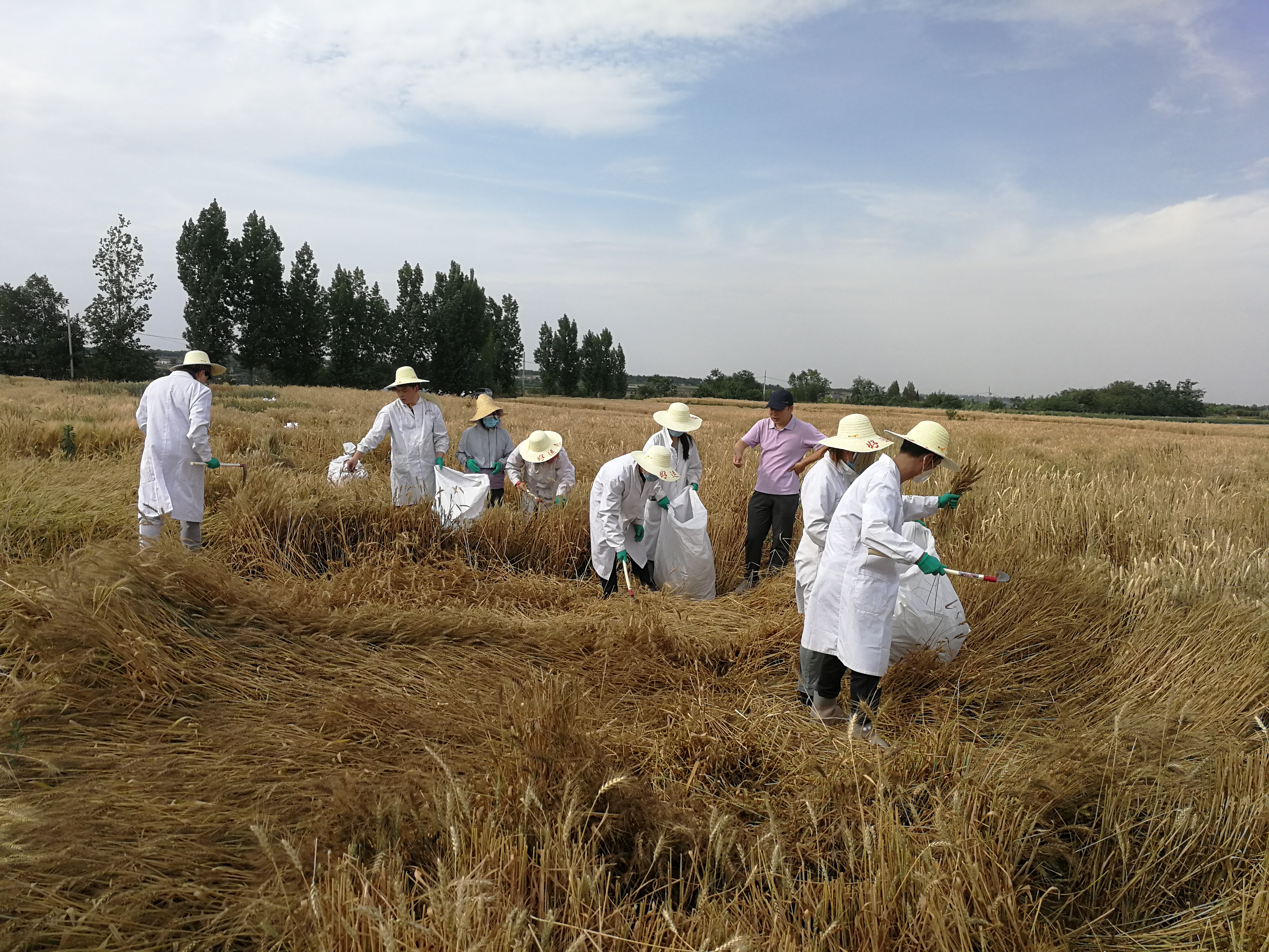 0a53379f563c47ad97e18bfea23cb717.jpg 0a53379f563c47ad97e18bfea23cb717.jpg