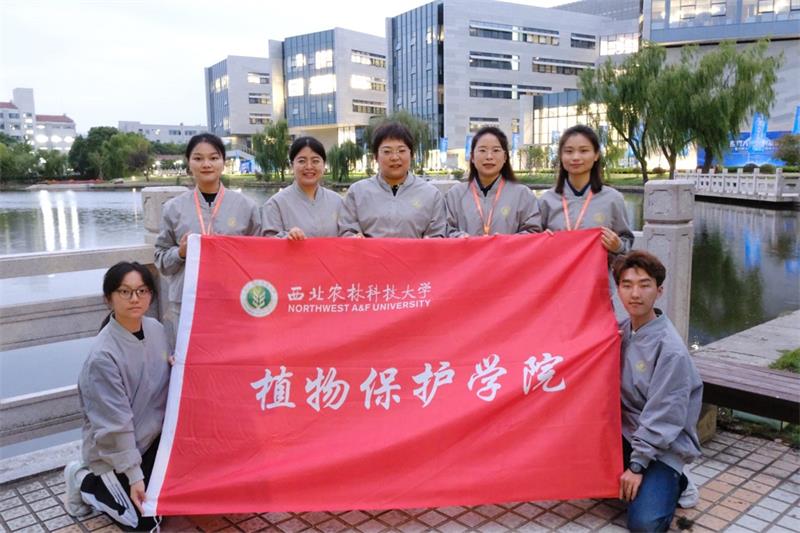 800半次元
在中国国际大学生创新大赛荣获金奖.jpg