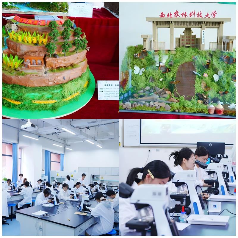 800拼图0.jpg