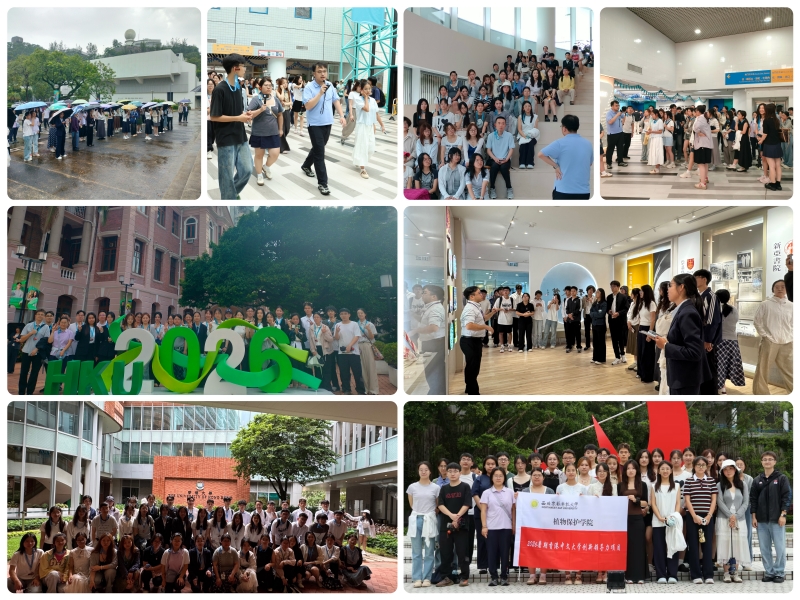 图2.学生在香港研学交流讨论.jpg