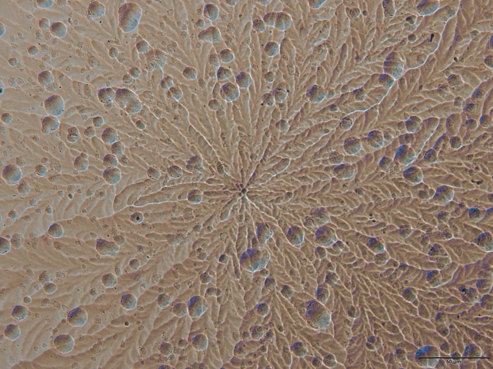 a382b3ad6c0f4c0999bcbb4cc5c3fe7b.jpg a382b3ad6c0f4c0999bcbb4cc5c3fe7b.jpg