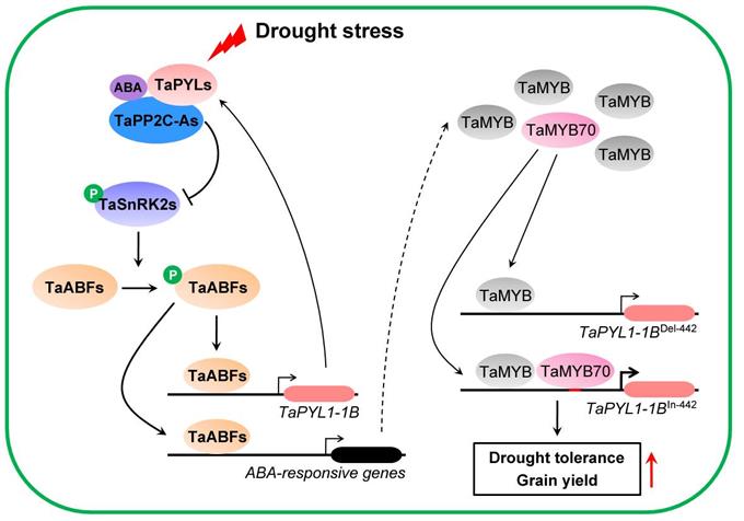 33843a056c0241f5b858068218fe8769.jpg 研究图片-680.jpg