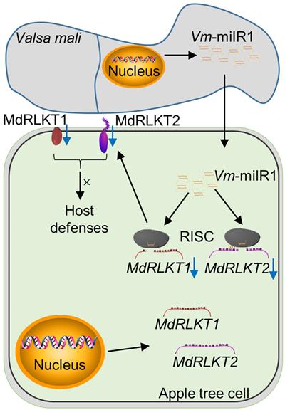 727f6c6018044d21b0ec12b087973d7e.jpg 图片8-400.jpg