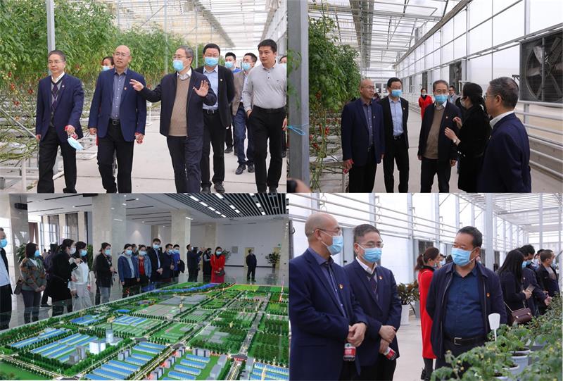 8990fb74fe074aea96c1e2cecdbb376b.jpg 800图片1.jpg