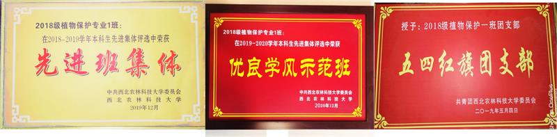 b753995350f24d1fa8346f1de8d3291a.jpg 获奖奖牌800.jpg