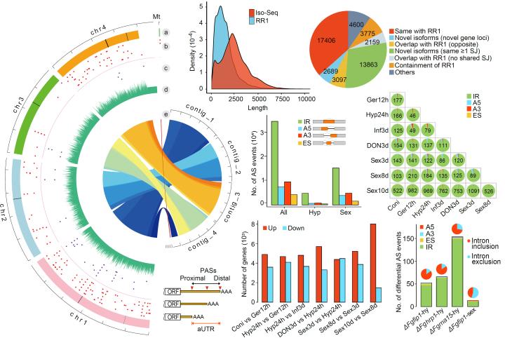 6cba3312d2e046be9af583084303824a.jpg 图片-720.jpg