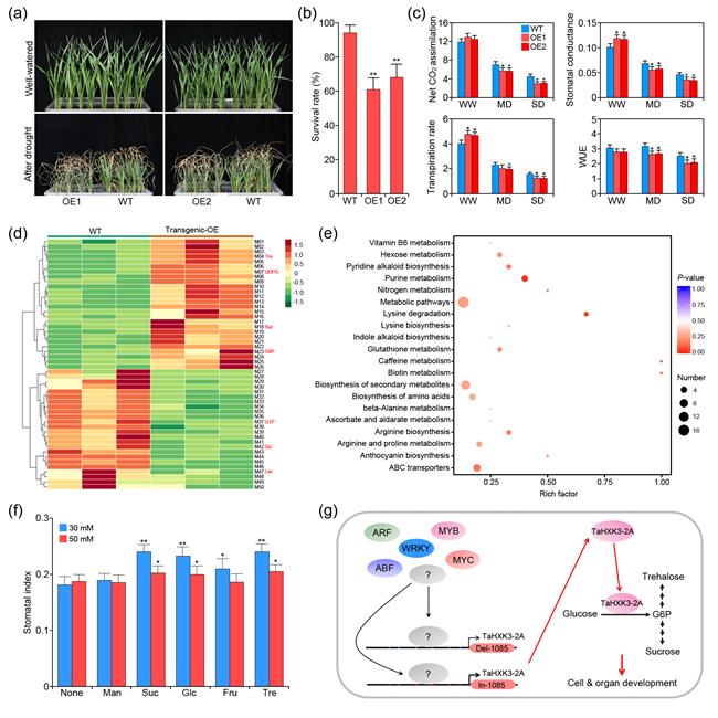 7dbf1e5d31b945518089f8f21663674a.jpg 原图-650.jpg
