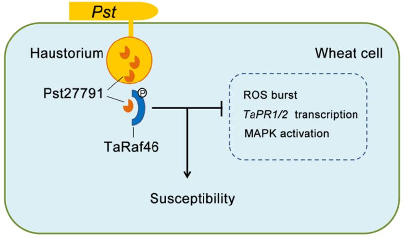 abcc655420014a9190b40aabcddc8e8f.png 图片-截图.png