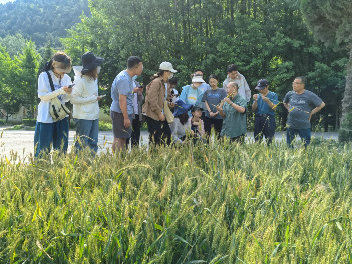 4bfbe89d831d401c97973a17f1934c7a.png 图片1.png