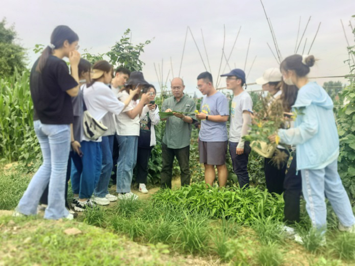 dce782148b764bc39d2e432975e245f2.png 图片2.png