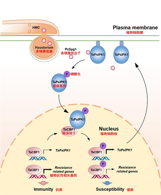 65299ffa35e74143829445814975ea3b.jpg 图片-680.jpg