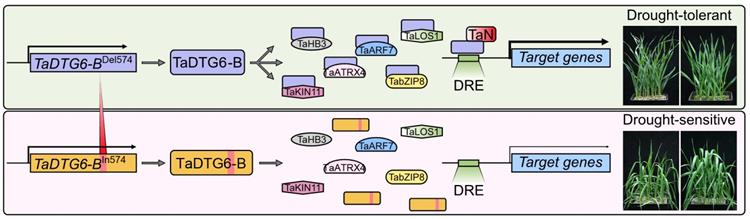 1c50c0fa58274dc89500e50f7f01eec1.jpg 图片4-750.jpg