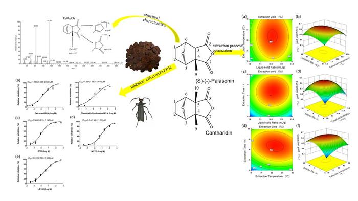 85718909a9b5484e93a2ed81a303651c.jpg 新闻稿图片-700.jpg