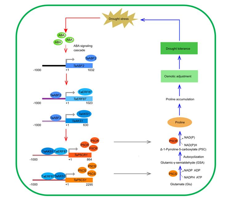 1f01393eb02f48b59cad5b80045e0e61.jpg 模式图片-750.jpg