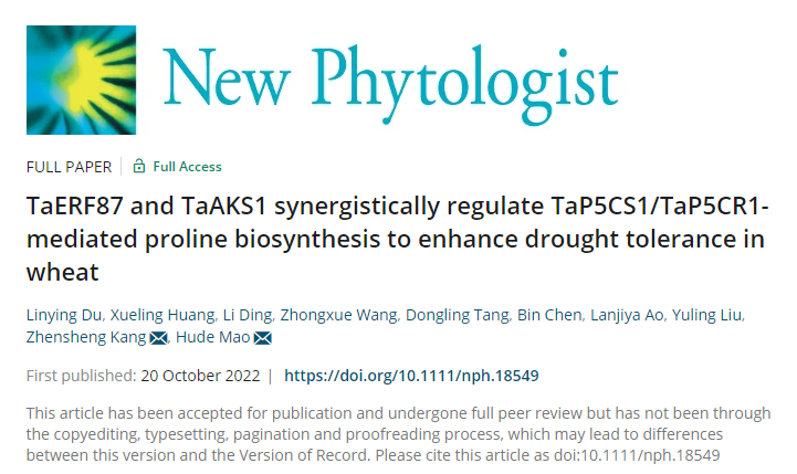 485ff6a609a0483e985a56f5c2178b73.png 期刊图片.png