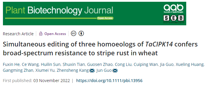 4d48c2255a6d4009b8deb8a89a53cb27.png 论文标题半次元图片.png