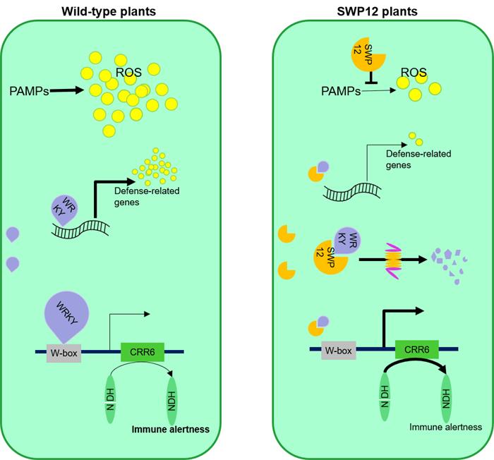 537b0a4bc40b4babb65537c590895b6a.jpg 图片2-2原图-700.jpg