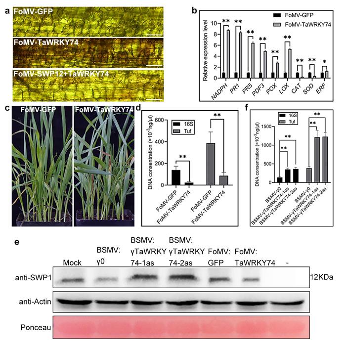 858122d8267a407c9246ae7fc8528796.jpg 图片1-700.jpg