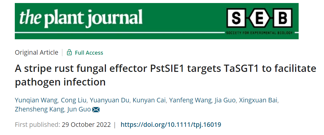 9f65ae3c7fdd4b78b7609d45d56c8de5.png 论文标题半次元图片.png