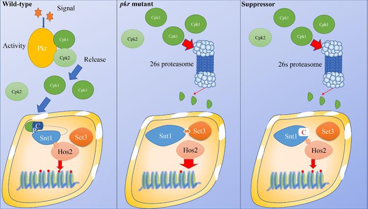 4c352bb40df84ff0b151b89bd316f78e.jpg 原图片文件-750.jpg