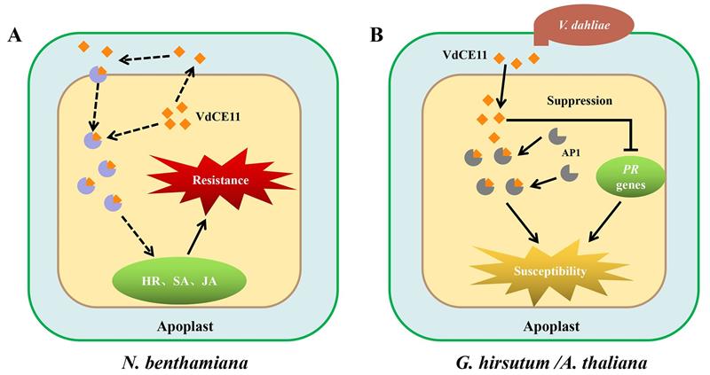 07931dc900ba433e95ba7f5cc16fc062.jpg 图片2-800.jpg