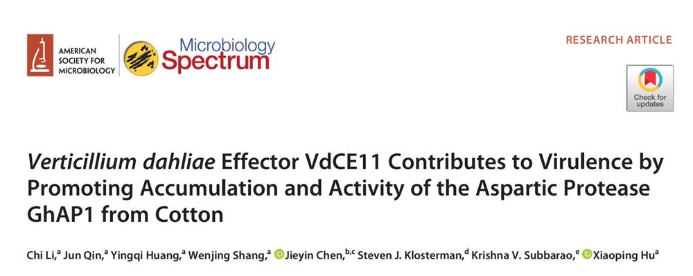 155f25a1f4b243e6b2776d46f3fcefe0.jpg 图片1-1000.jpg