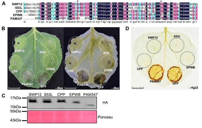 456ace5520a04019bc42f7650a5788a0.jpg 图片3-700.jpg