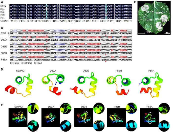 cf1c4b04261b4b84ad25e1a3b98746e9.jpg 图片2-700.jpg