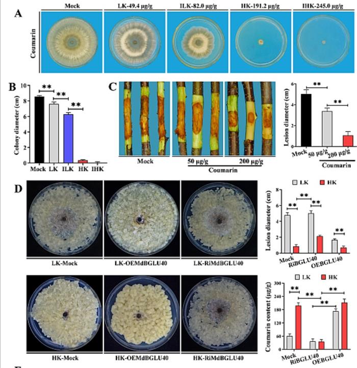 06a794cc268b42df86c8a0a6f678b40a.jpg 图片2-700.jpg