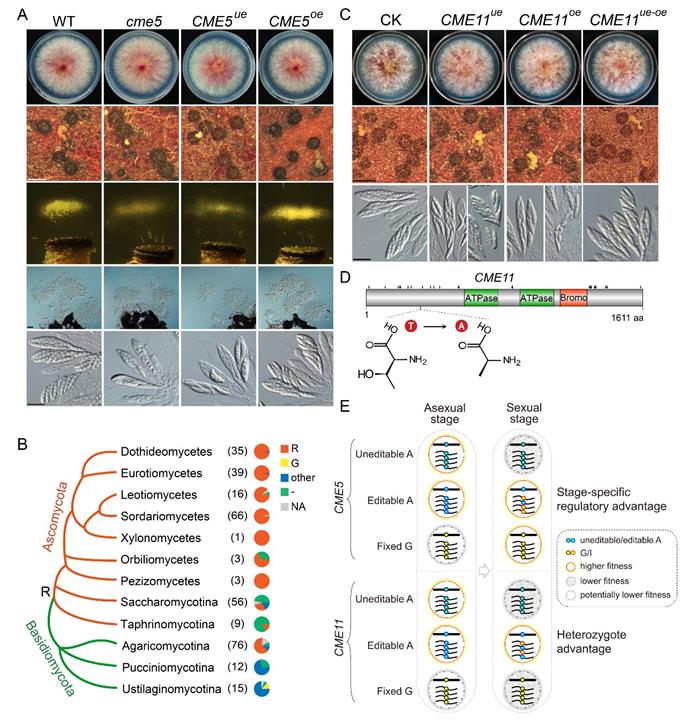 203f7c9d3915481fab207d60ad484631.jpg 图片-680.jpg