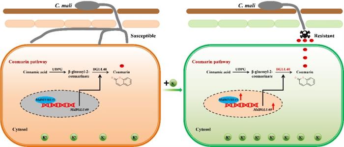 942ea4d9ed404fe7923854032709a8c4.jpg 图片3-700.jpg