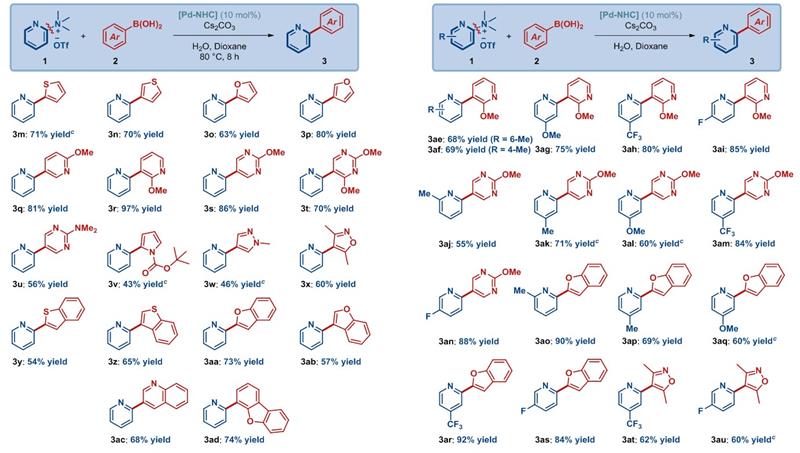83c7daf9c67d4d3aa39ada6677a2f5f0.jpg 图片-800.jpg