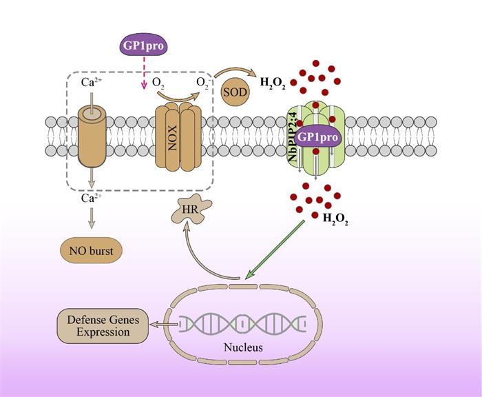 aaa221241d7947429015245bad564f01.jpg 图片-700.jpg
