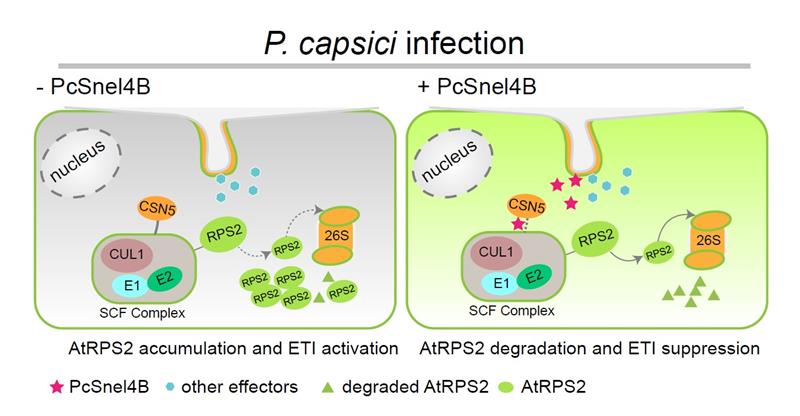 363519215ba944c39b5dc315a412def8.jpg 图片-800.jpg