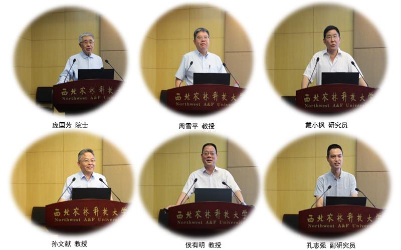 3a0f52907fb249ed9abc1a3b2a1b1ace.jpg 图3-800.jpg