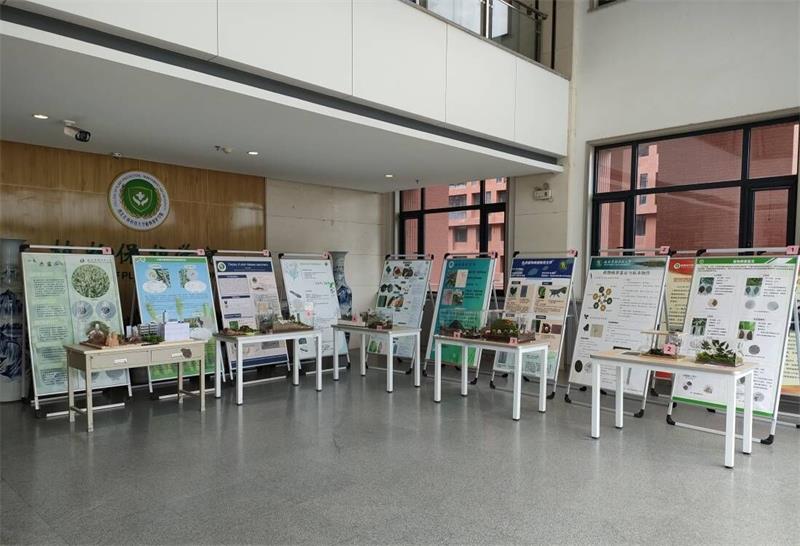 efc4ac2ce0084261b39f3ea85fe37a44.jpg 80059_750_750.jpg