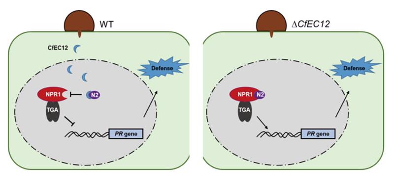 4bd30520d31f4b7aae53b7dac1369a6f.jpg 截图JPG图片-800.jpg